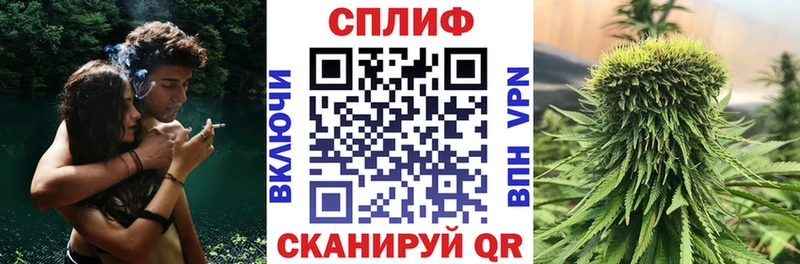 Купить закладку COCAIN  Меф  APVP  Канабис  Орлов