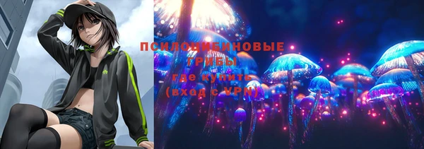 первитин Горнозаводск