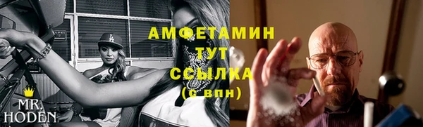 индика Горно-Алтайск