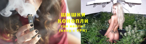 ПСИЛОЦИБИНОВЫЕ ГРИБЫ Горняк