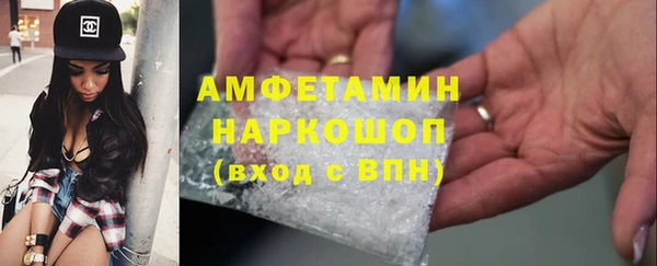 индика Горно-Алтайск