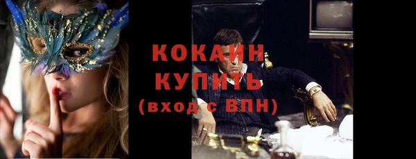 ПСИЛОЦИБИНОВЫЕ ГРИБЫ Горняк
