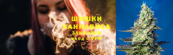 индика Горно-Алтайск