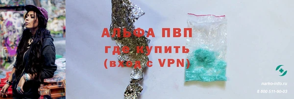 индика Горно-Алтайск
