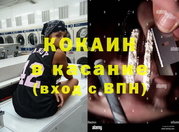 индика Горно-Алтайск