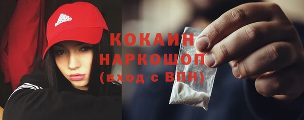 индика Горно-Алтайск