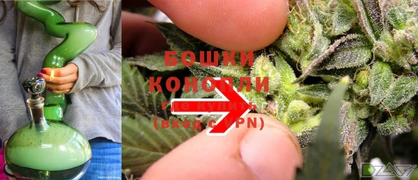 индика Горно-Алтайск