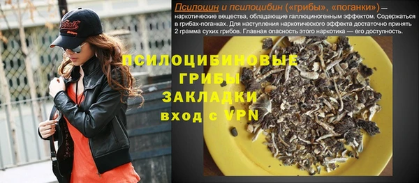 ПСИЛОЦИБИНОВЫЕ ГРИБЫ Горняк