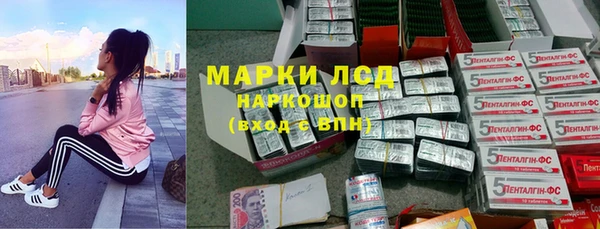 индика Горно-Алтайск