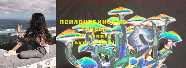 первитин Горнозаводск