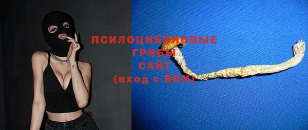 ПСИЛОЦИБИНОВЫЕ ГРИБЫ Горняк