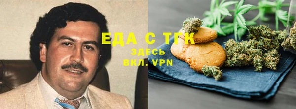 ПСИЛОЦИБИНОВЫЕ ГРИБЫ Горняк